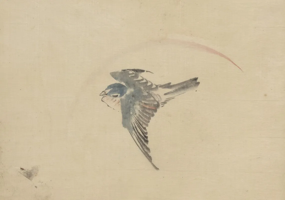 A Bird Flying To The Left Seen From Above Wall Art by Katsushika Hokusai - High-Resolution Digital Print