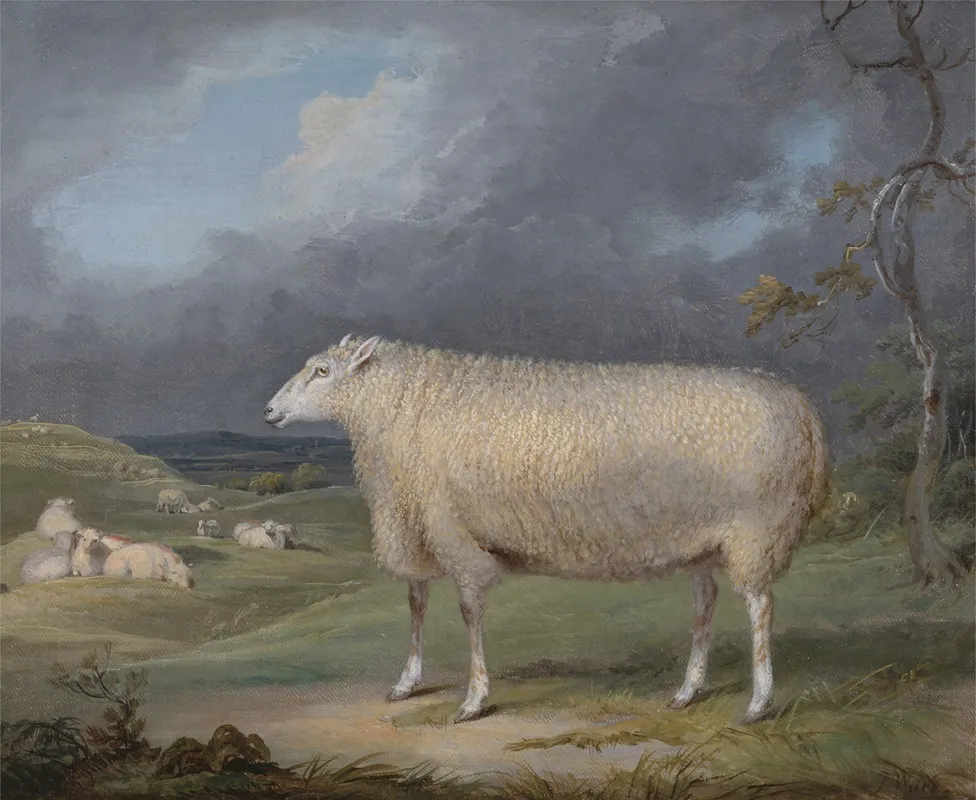 A Border Leicester Ewe Wall Art by James Ward - High-Resolution Digital Print