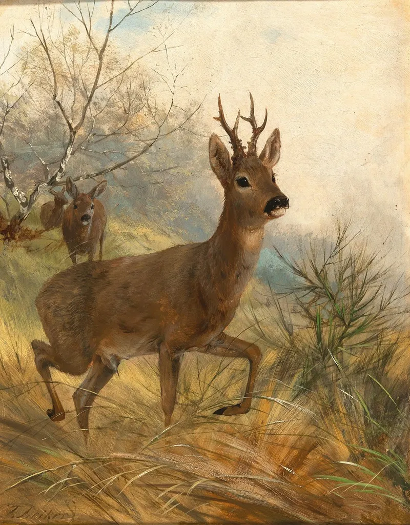 A Buck And A Doe