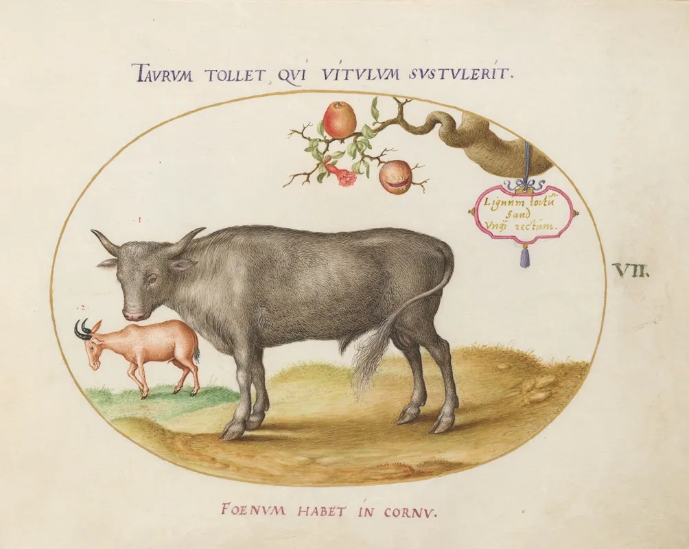 A Bull And A Horned Animal