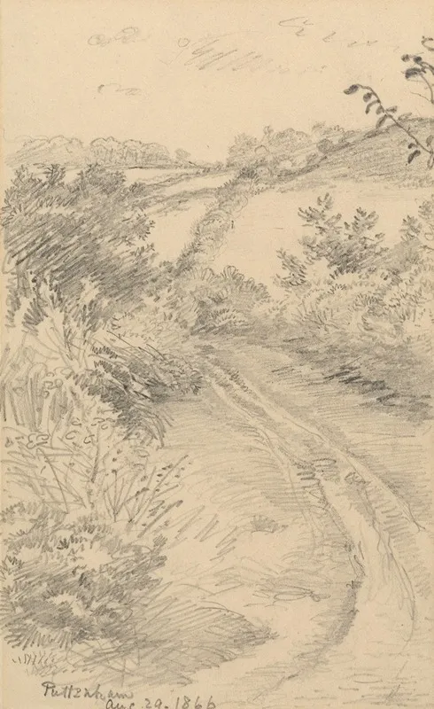 A Bushy Lane With A Field Beyond
