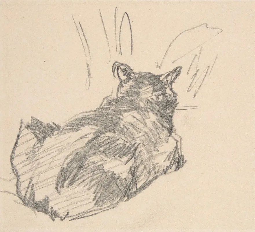 A Cat Resting On All Fours Seen From Behind