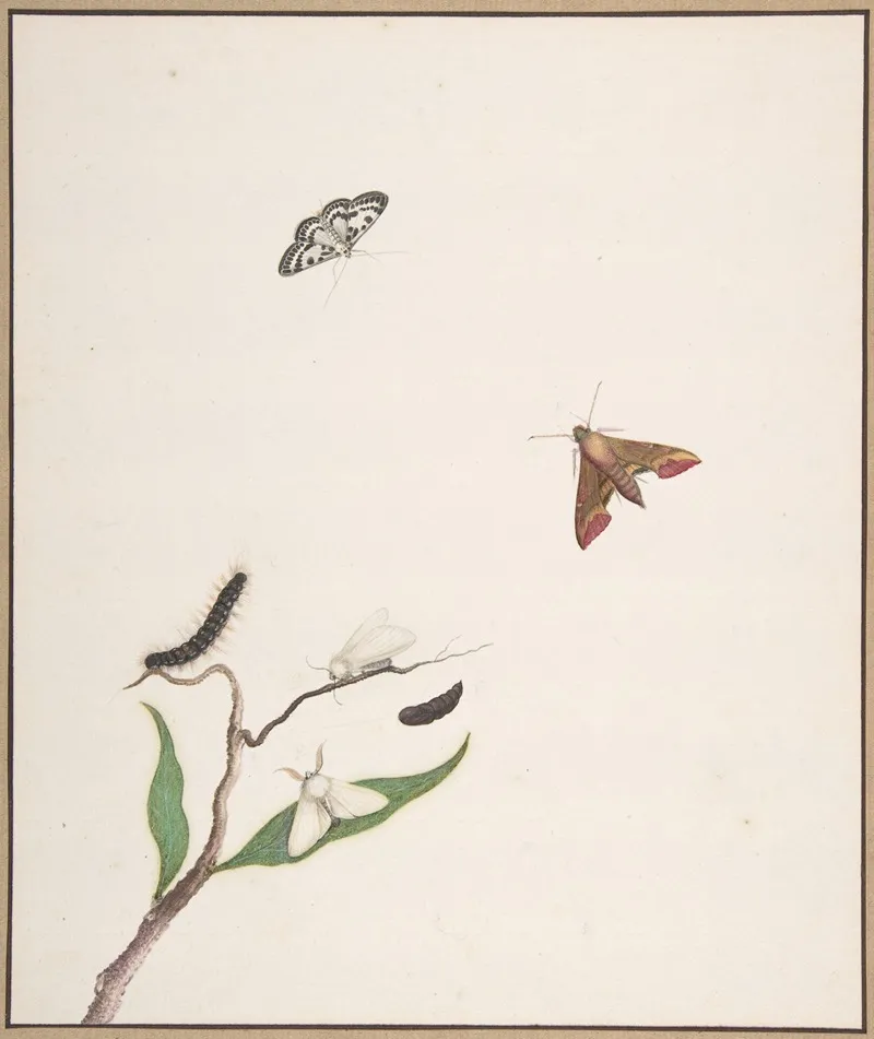 A Caterpillar And Two Moths On A Branch And Two Butterflies Wall Art by Nicolaas Struyk - High-Resolution Digital Print