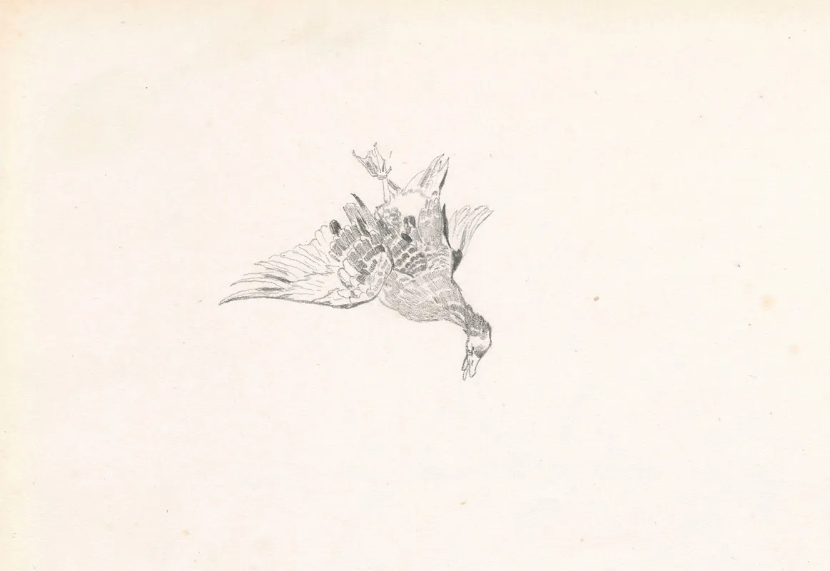 A Caught Duck