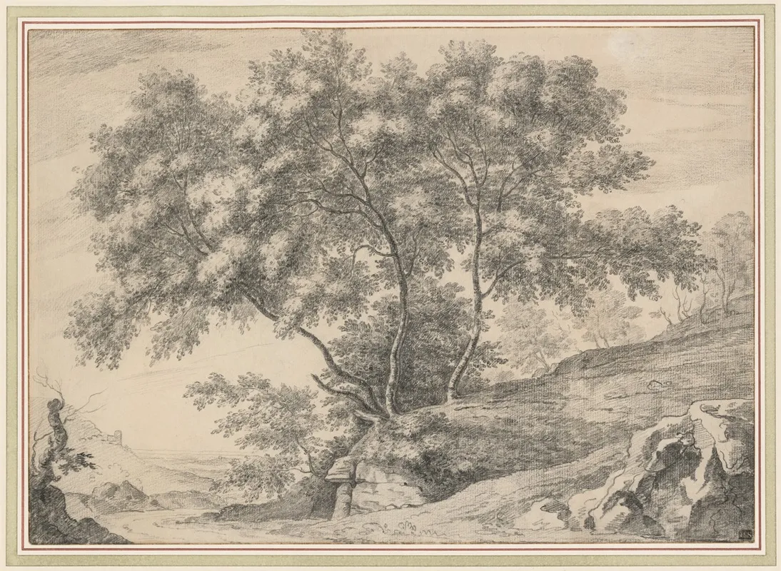 A Clump Of Trees On A Rocky Outcrop
