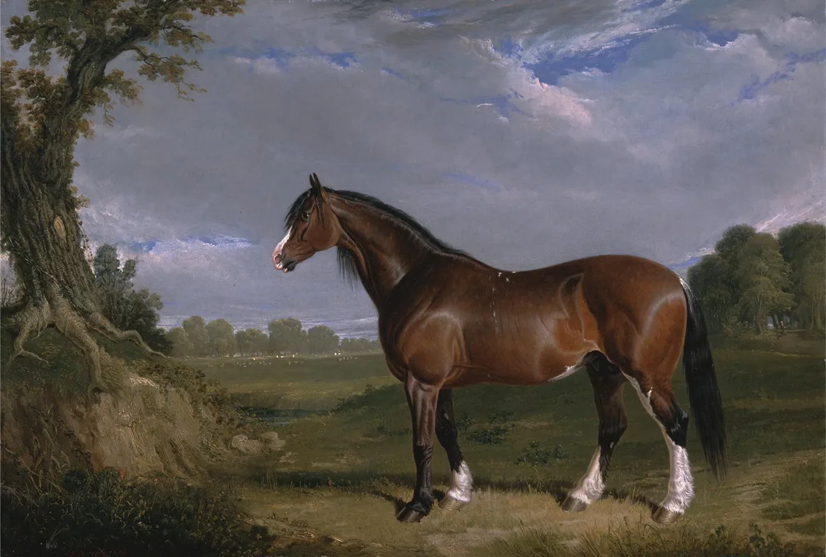 A Clydesdale Stallion Wall Art by John Frederick Herring Snr. - High-Resolution Digital Print