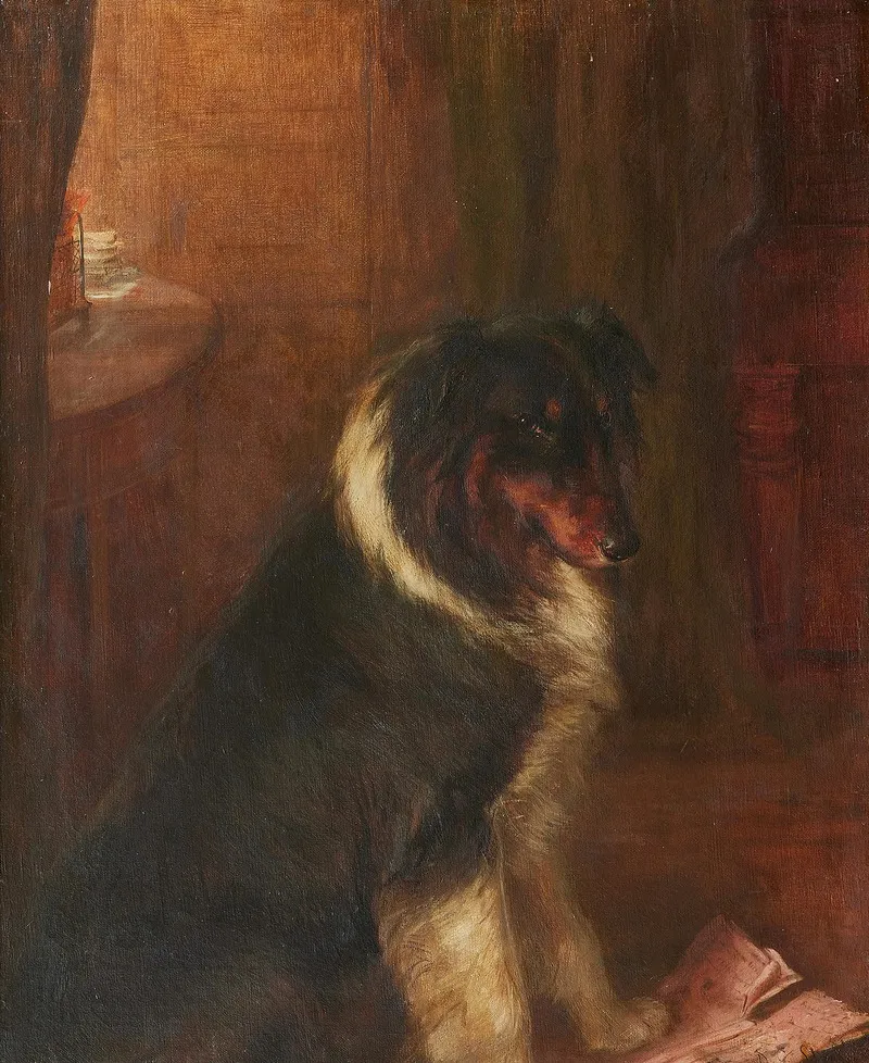 A Collie In An Interior Wall Art by David George Steell - High-Resolution Digital Print