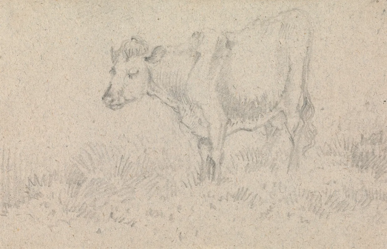 A Cow 2