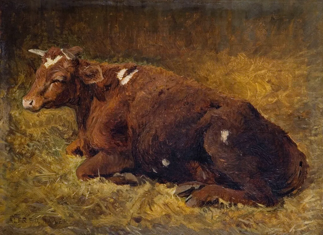A Cow Lying On The Ground Wall Art by Alfred Baker - High-Resolution Digital Print