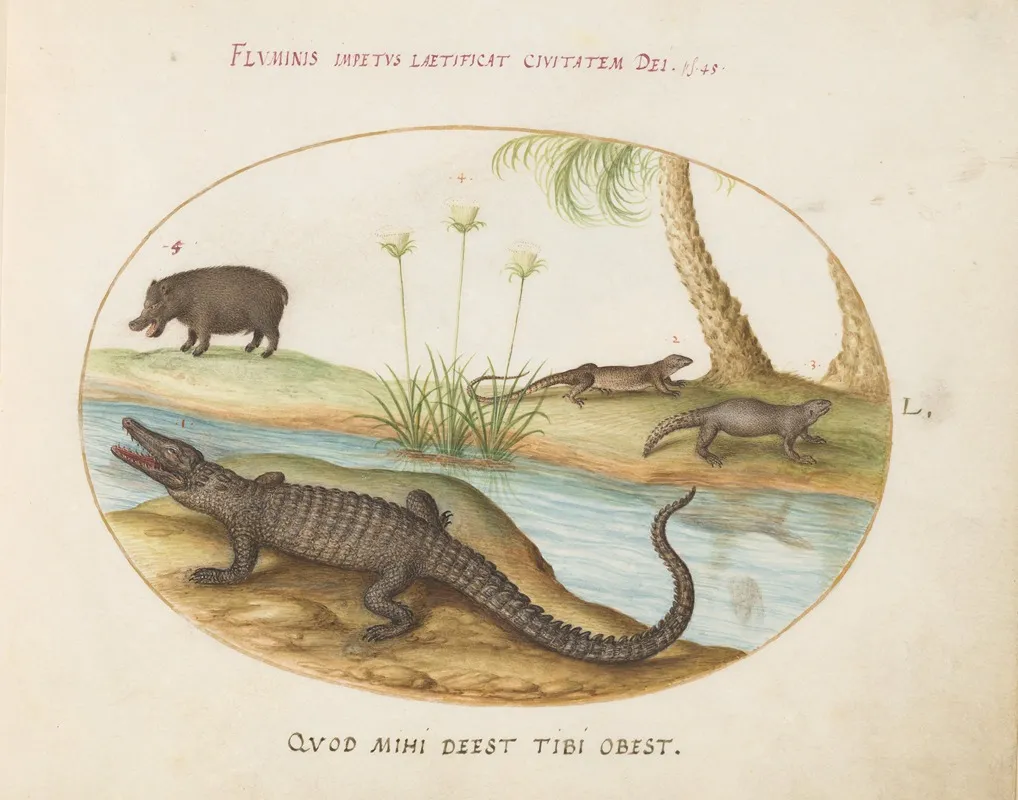 A Crocodile A Hippopotomus A Land Crocodile Or Tegu Lizard And A Crocodile Or Spiny Tailed Lizard With A Papyrus Plant
