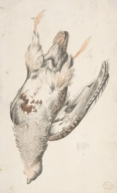 A Dead Bird Seen From Below Wall Art by Count Giorgio Durante - High-Resolution Digital Print