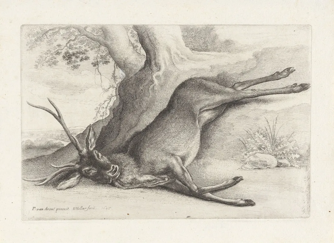 A Dead Stag Lying In A Wooded Landscape