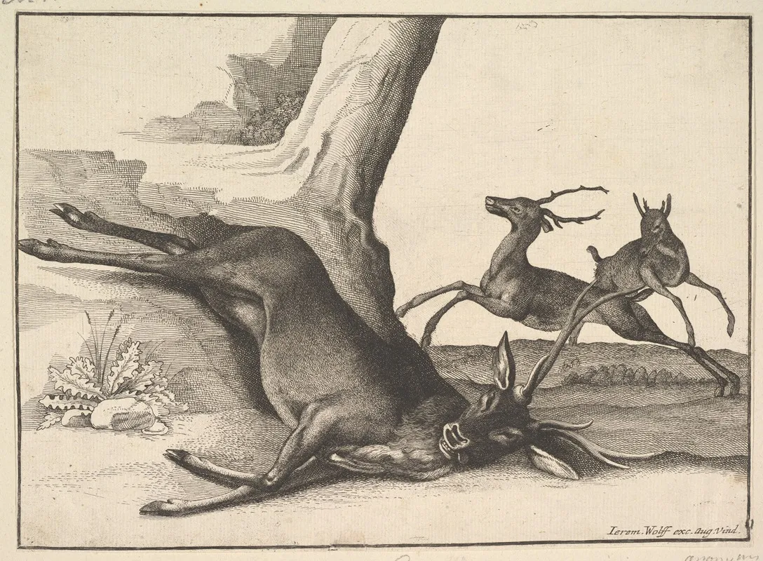 A Dead Stag