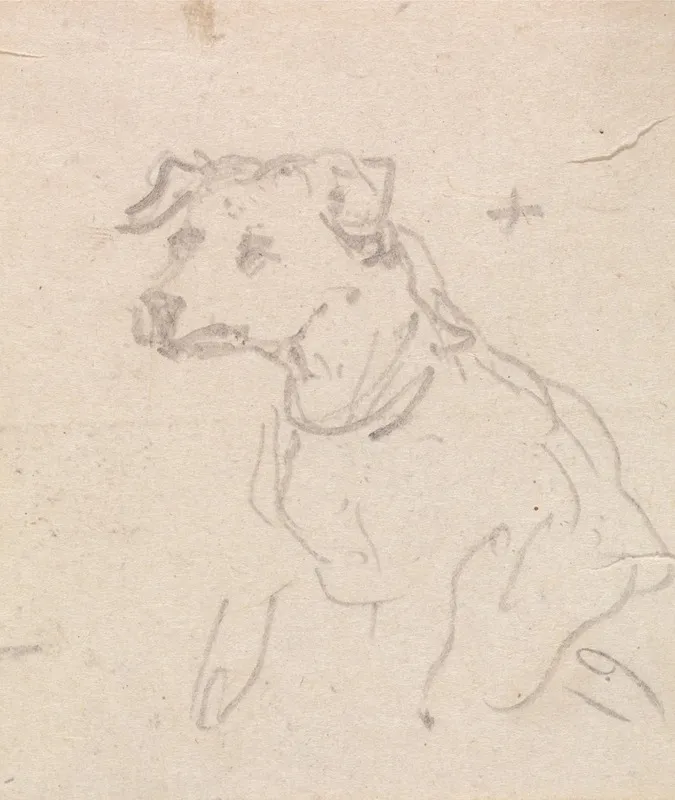 A Dog 4
