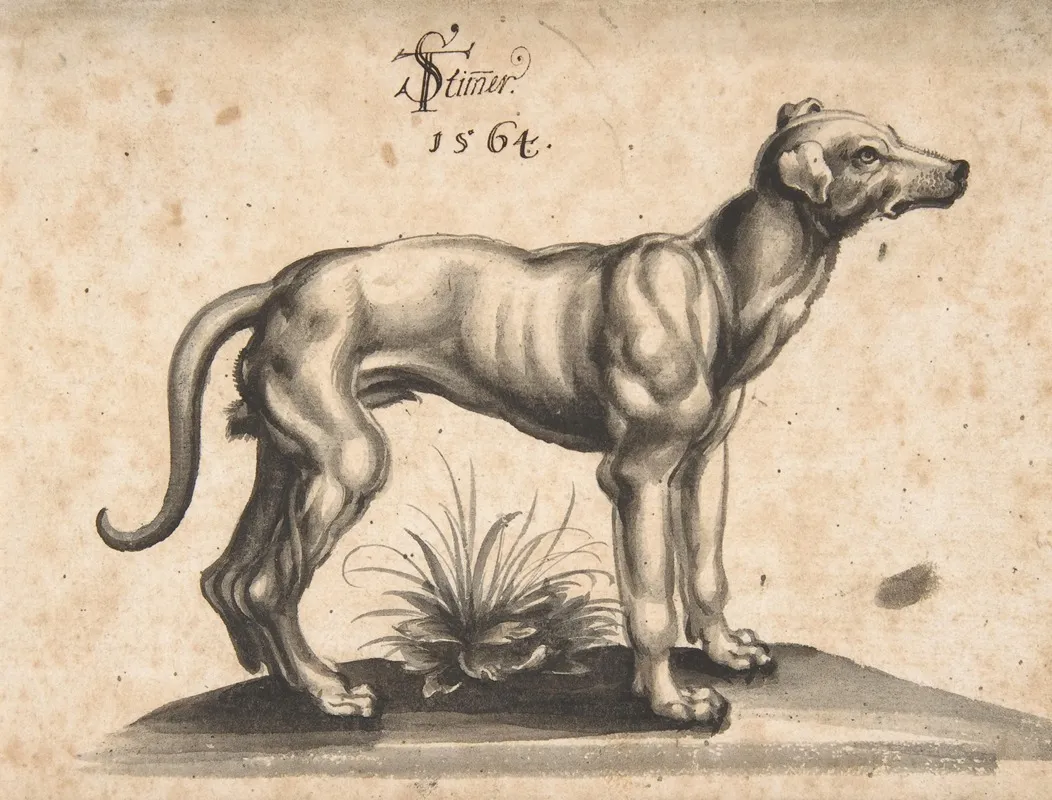 A Dog Looking To The Right Wall Art by Tobias Stimmer - High-Resolution Digital Print