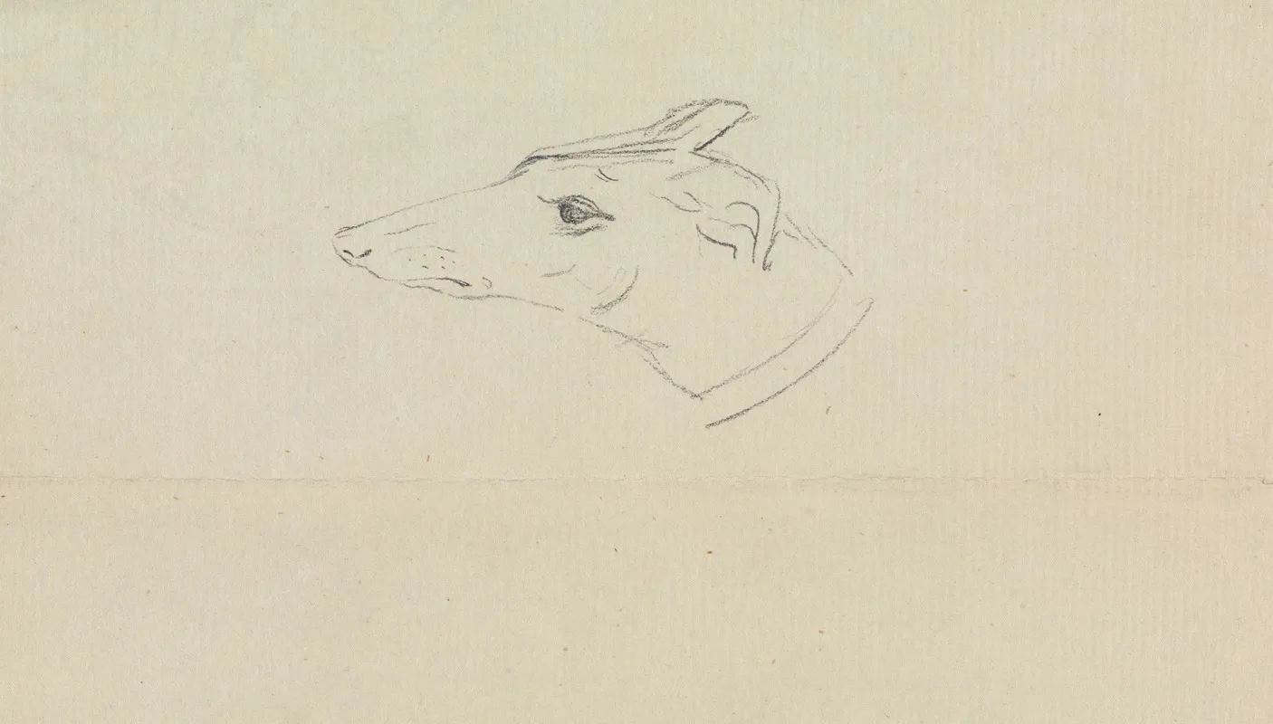 A Dogs Head