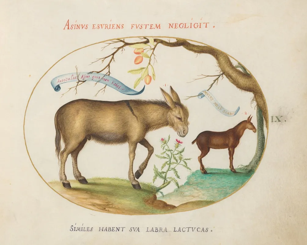 A Donkey And A Mule