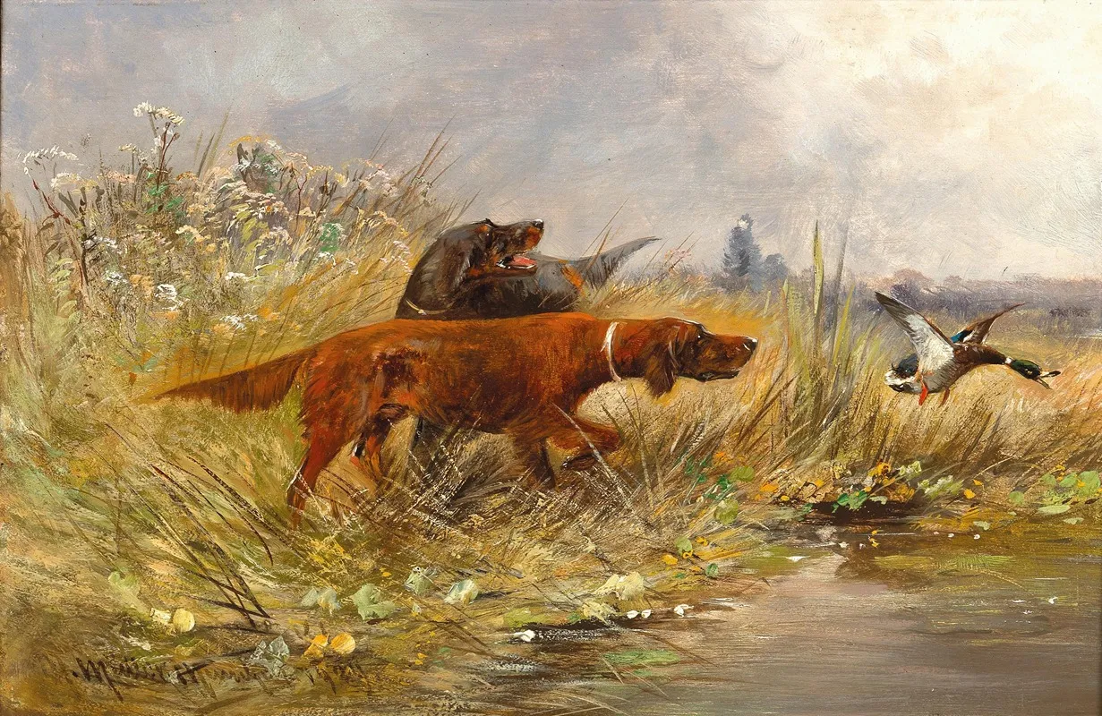 A Duck Hunt