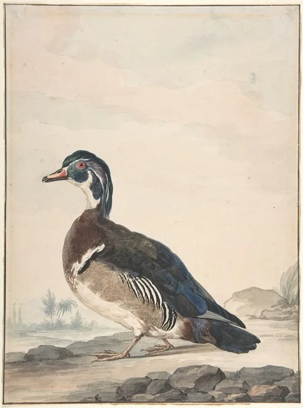 A Duck Wall Art by Aert Schouman - High-Resolution Digital Print