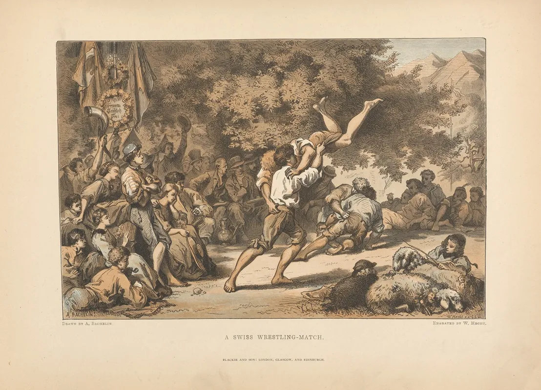 A ‎ ‎bachelin A‎ ‎swiss‎ ‎wrestling Match