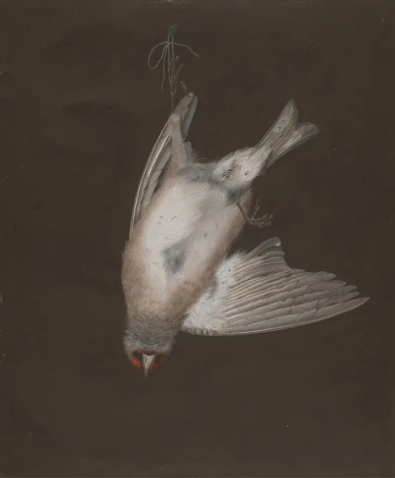 A European Goldfinch In A Snare 2 Wall Art by P. Brown - High-Resolution Digital Print