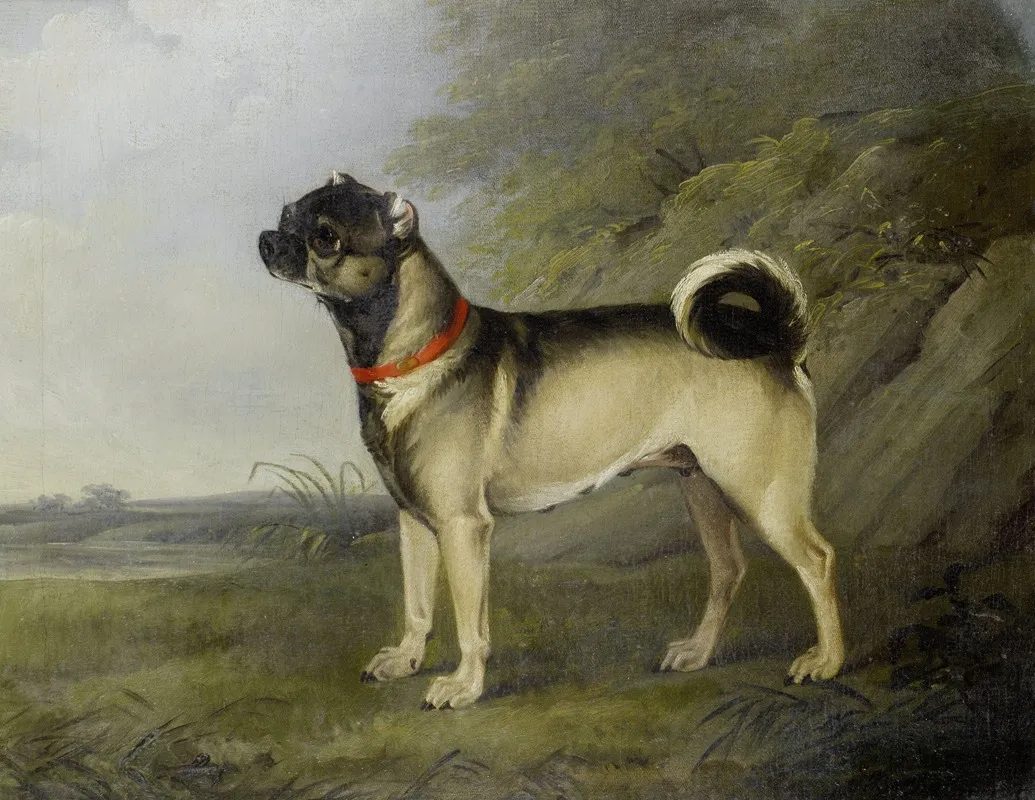 A Favourite Pug Bitch Wall Art by Henry Bernard Chalon - High-Resolution Digital Print
