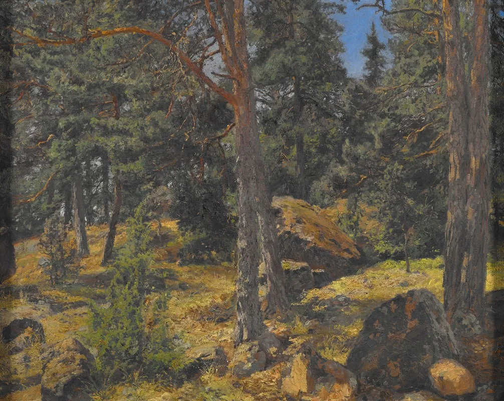 A Fir Bank