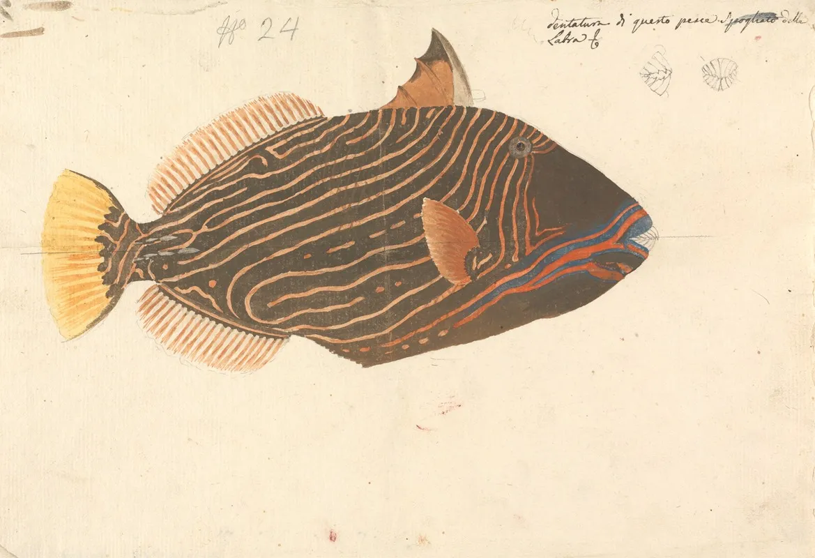 A Fish 3