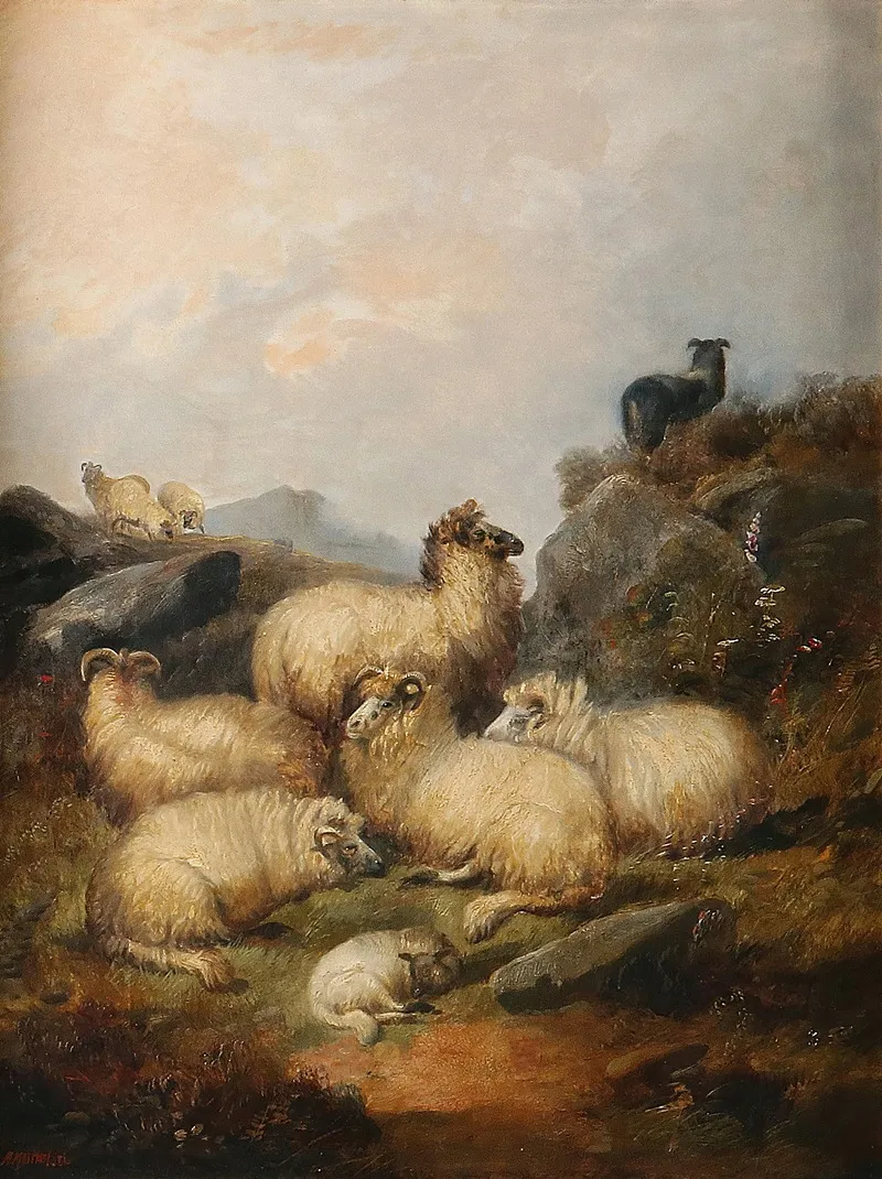 A Flock Of Sheep In The Scottish Highlands Wall Art by Alfred Morris - High-Resolution Digital Print