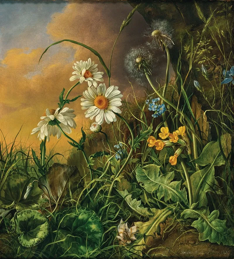 A Forest Floor With Daisies Primroses And Dandelions Wall Art by Franz Xaver Petter - High-Resolution Digital Print