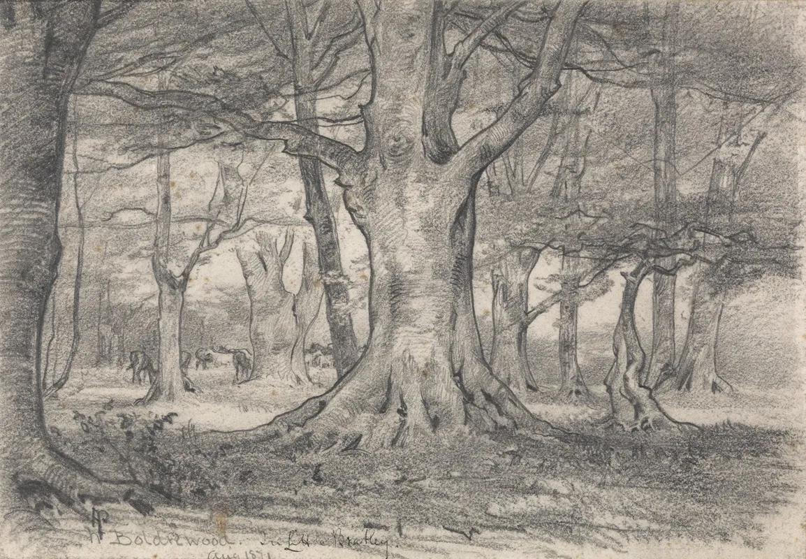 A Forest Landscape Near Boldrewood
