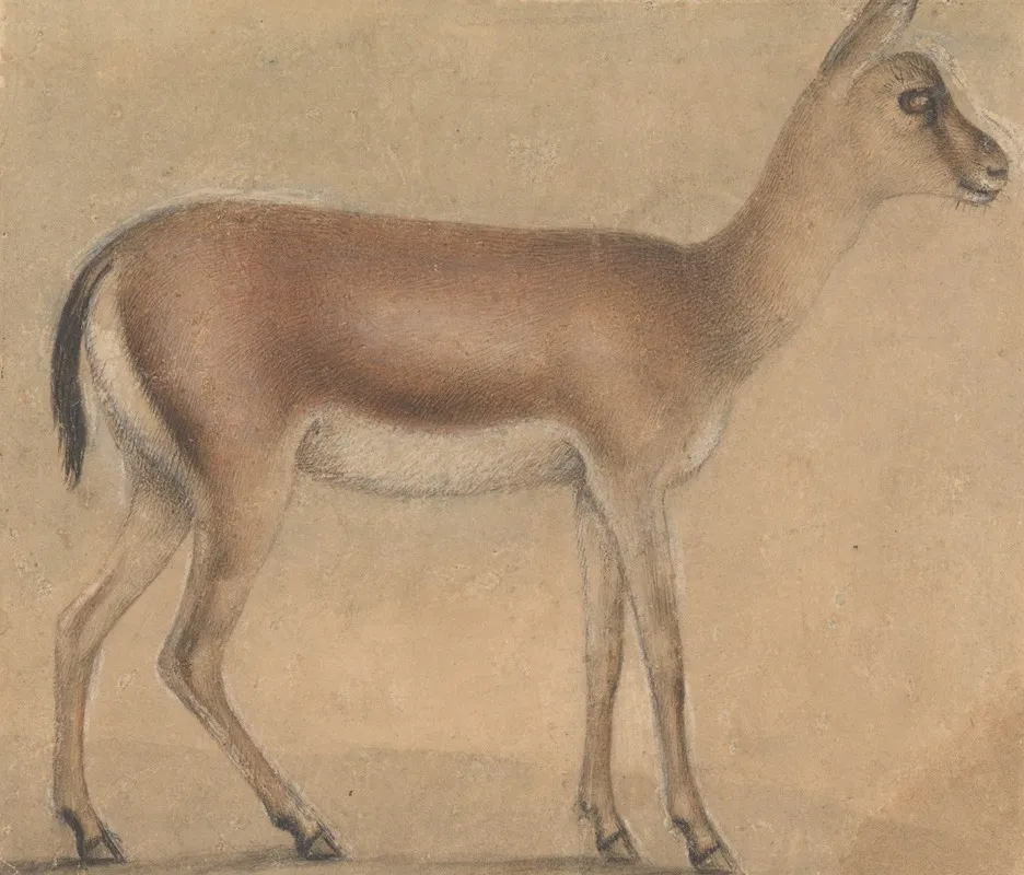 A Gazelle In Profile Moving Toward The Right Wall Art by Circle of Michelino da Besozzo - High-Resolution Digital Print