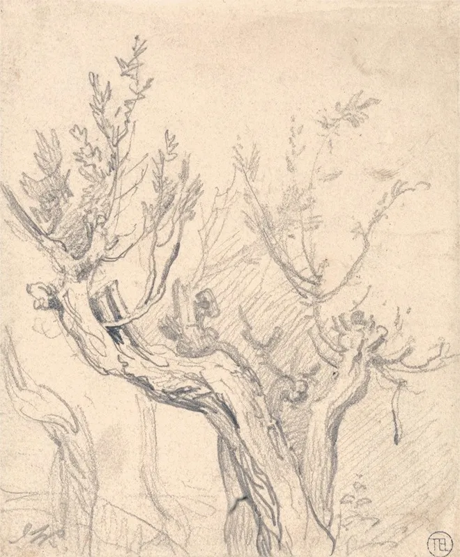 A Gnarled Tree Wall Art by James Ward - High-Resolution Digital Print