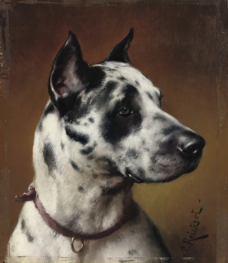 A Great Dane Wall Art by Carl Reichert - High-Resolution Digital Print