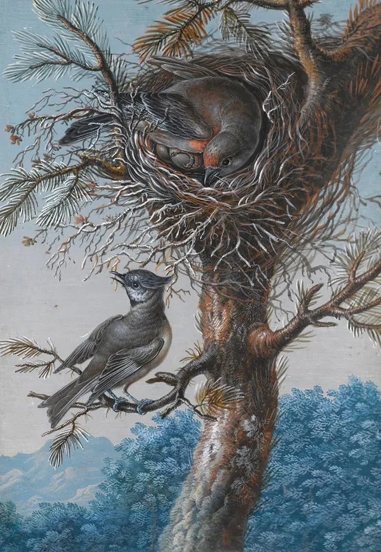 A Greater Redpoll And A Crested Tit Wall Art by Christoph Ludwig Agricola - High-Resolution Digital Print