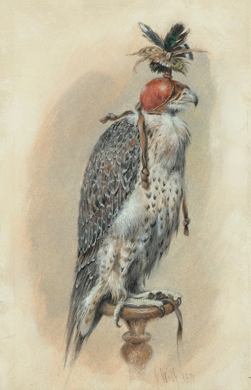 A Gyrfalcon Hooded Wall Art by Joseph Wolf - High-Resolution Digital Print