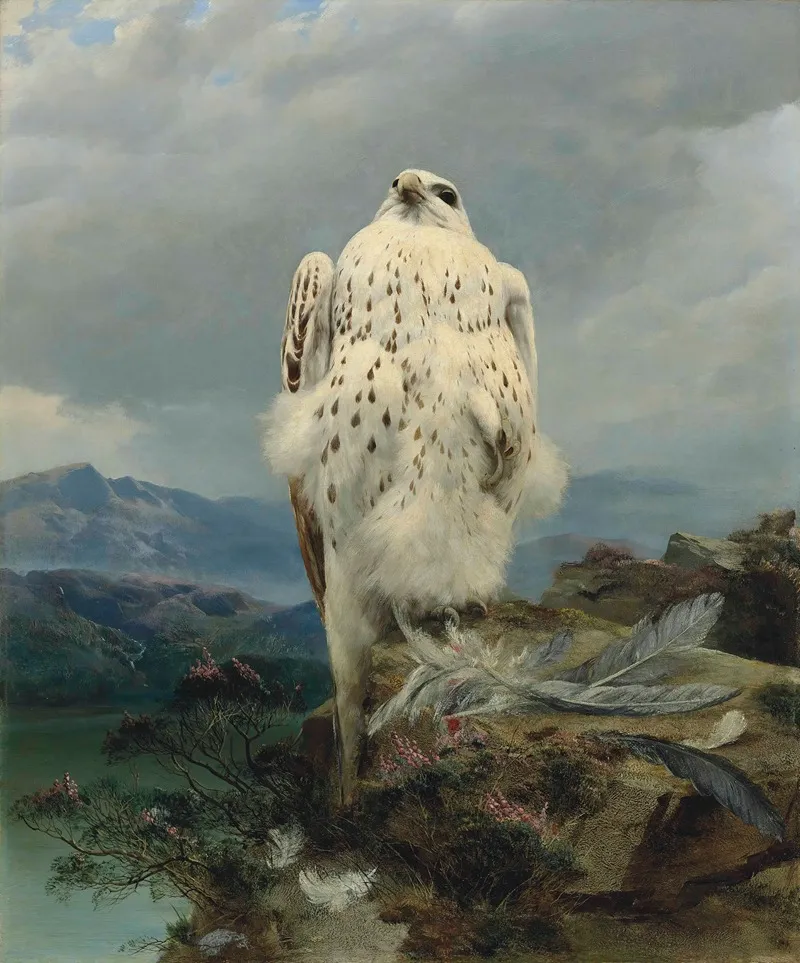 A Gyrfalcon In An Extensive Mountainous Landscape Wall Art by Joseph Wolf - High-Resolution Digital Print