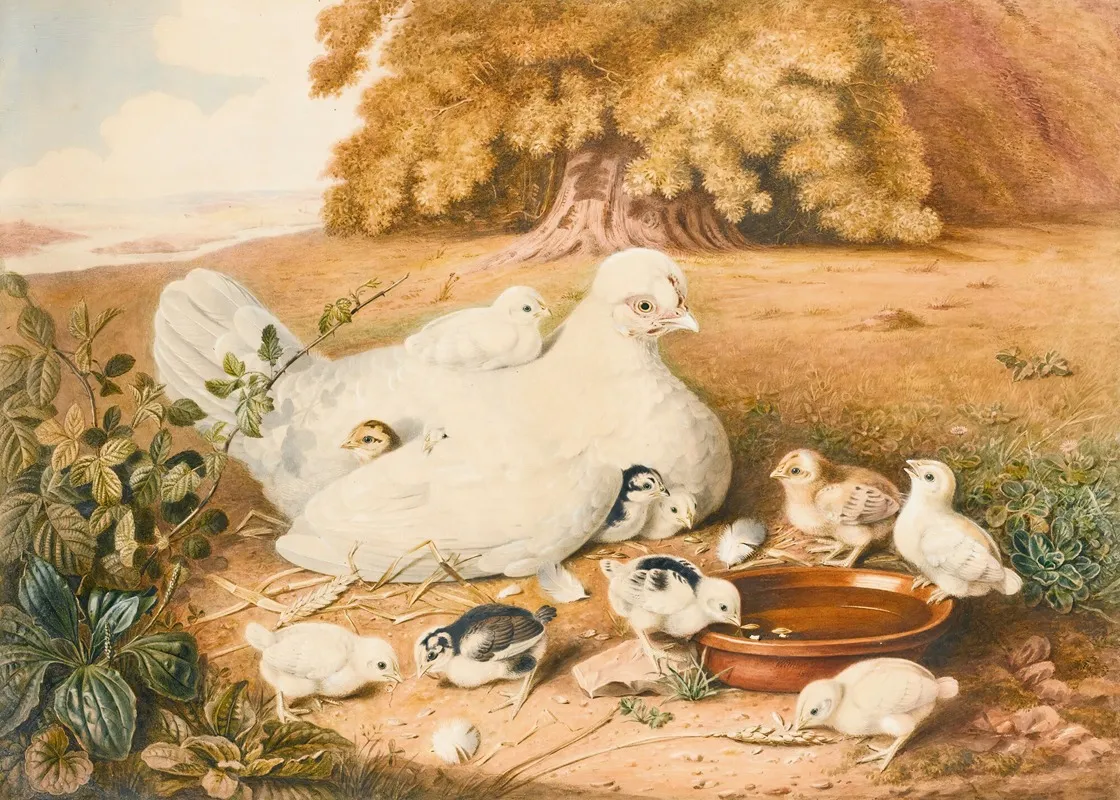 A Hen With Her Chicks Wall Art by Augusta Innes Withers - High-Resolution Digital Print