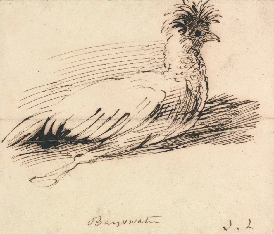 A Hen