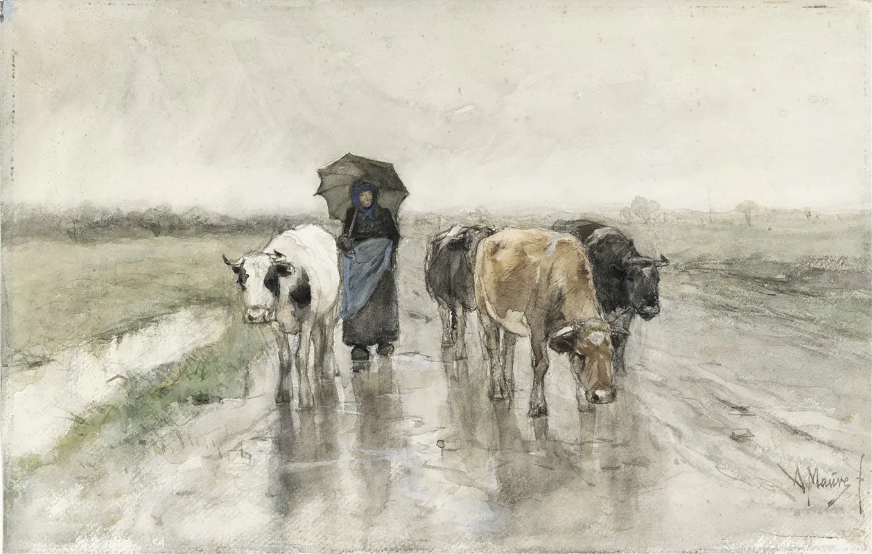 A Herdess With Cows On A Country Road In The Rain