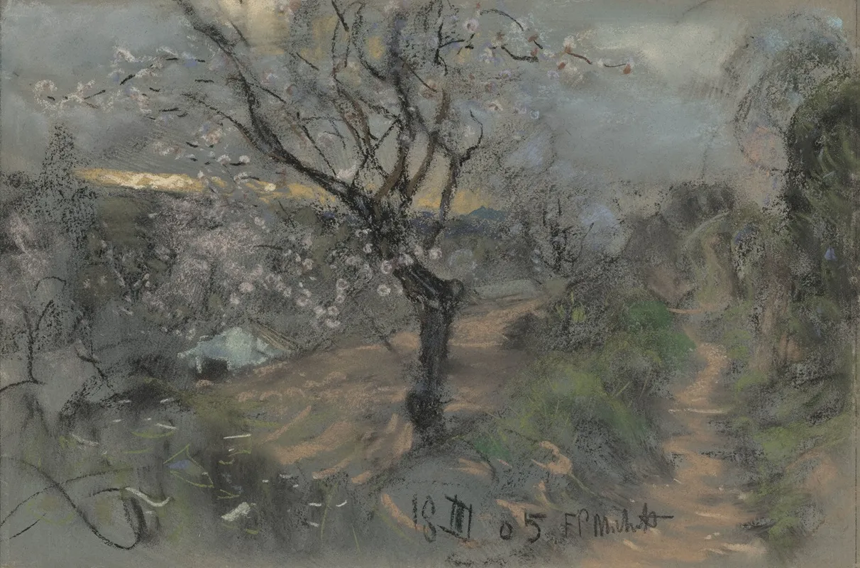 A Hillside Path With Blooming Cherry Trees Under An Overcast Sky