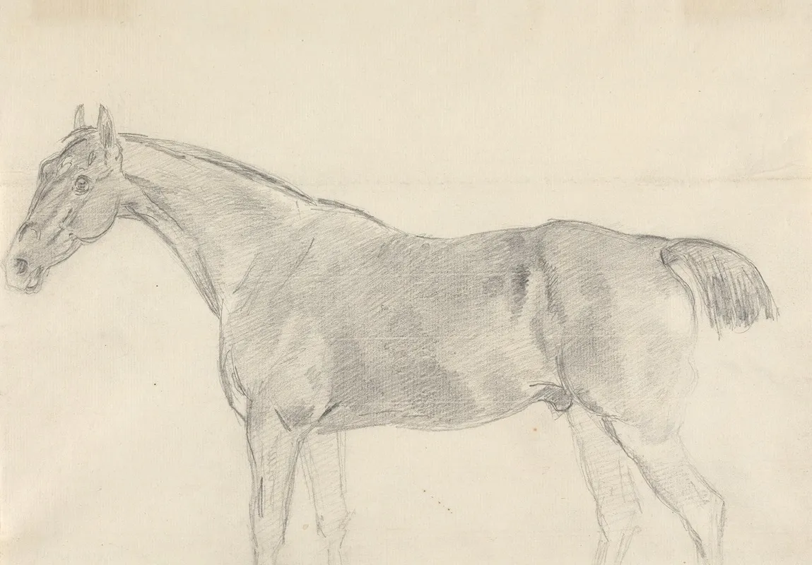 A Horse Facing Left