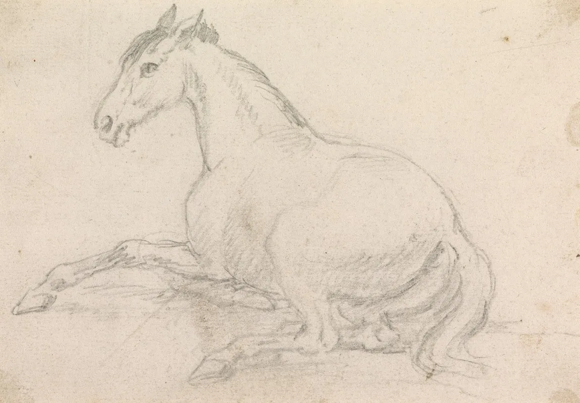 A Horse Lying Down