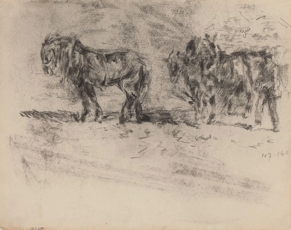 A Horses Span In Zealand