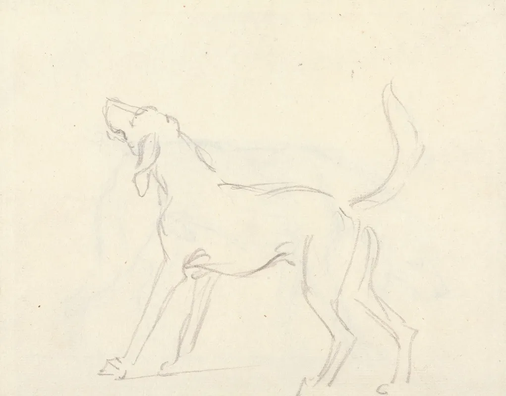 A Hound With Head Up