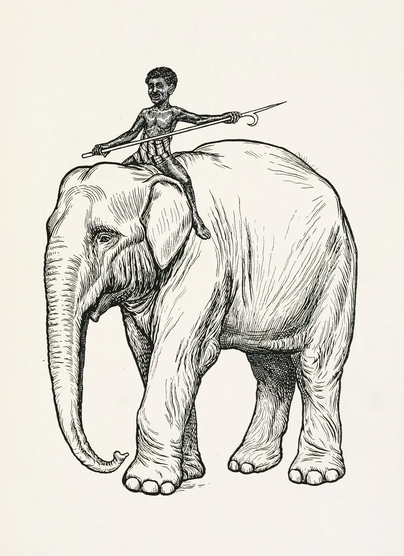 A Hundred Anecdotes Of Animals Pl 002 Wall Art by Percy J. Billinghurst - High-Resolution Digital Print