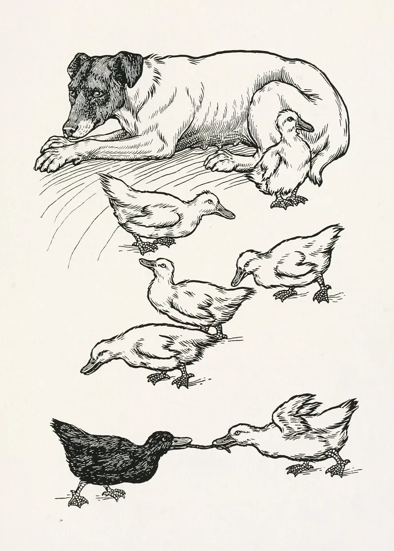 A Hundred Anecdotes Of Animals Pl 065 Wall Art by Percy J. Billinghurst - High-Resolution Digital Print
