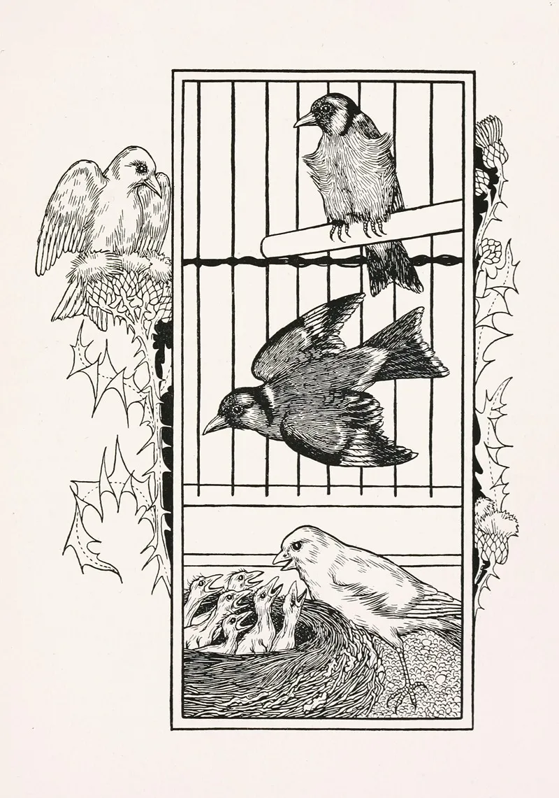 A Hundred Anecdotes Of Animals Pl 084 Wall Art by Percy J. Billinghurst - High-Resolution Digital Print