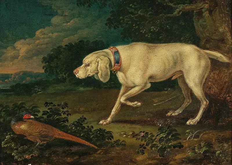A Hunting Dog With A Pheasant Wall Art by Anton Enzinger - High-Resolution Digital Print