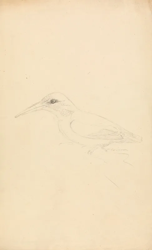 A Kingfisher